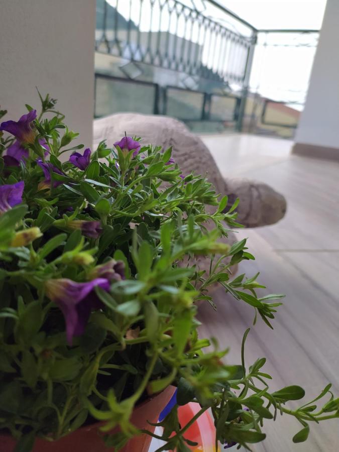 Attico Gloria & Greta Apartment Кастеламаре дел Голфо Екстериор снимка